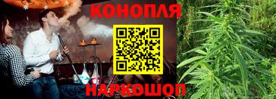 гашик Обь