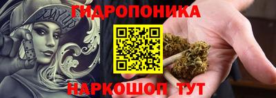 гашик Обь