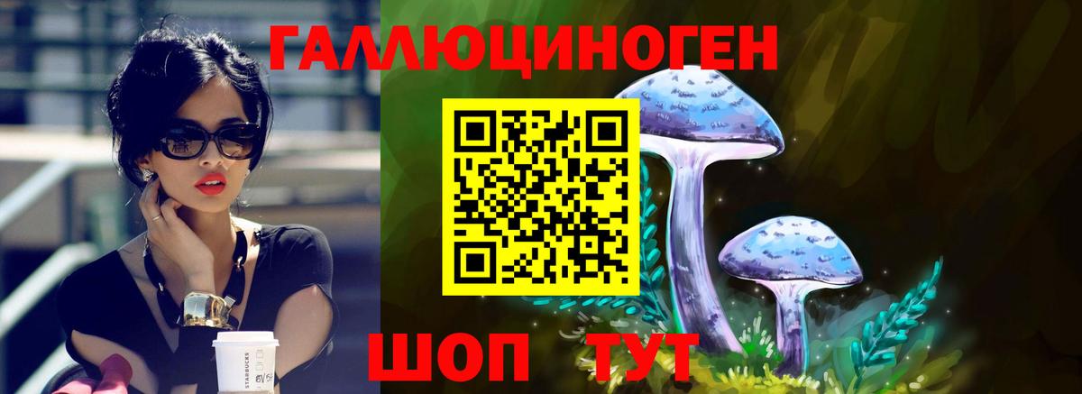 Псилоцибиновые грибы MAGIC MUSHROOMS Среднеуральск